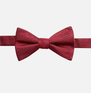 Ryan Seacrest Distinction Men's PT Kent Unsolid Solid Silk Chevron Bow Tie Red Size Regular