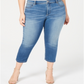 INC International Concepts Women's Plus Denim Skinny Leg Cropped Jeans Blue Size 24 WP