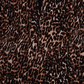 INC International Concepts Women's V Neck Dolman Top Brown Size XXL