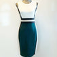 Calvin Klein Women's Sleeveless Above the Knee Body Con Dress Tan Multi Size 20W