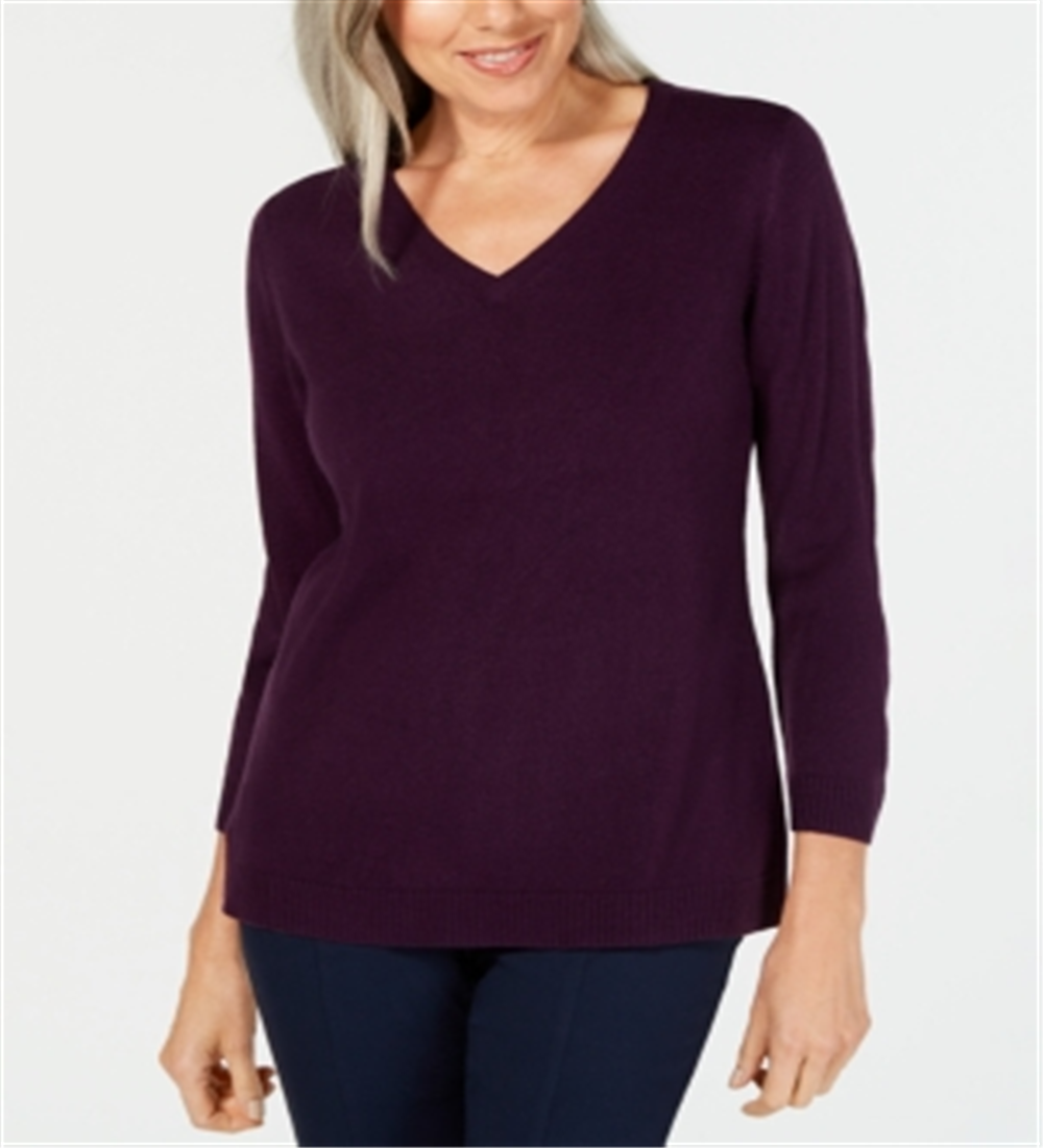 Karen Scott Women's V Neck Sweater Purple Size Petite S/M