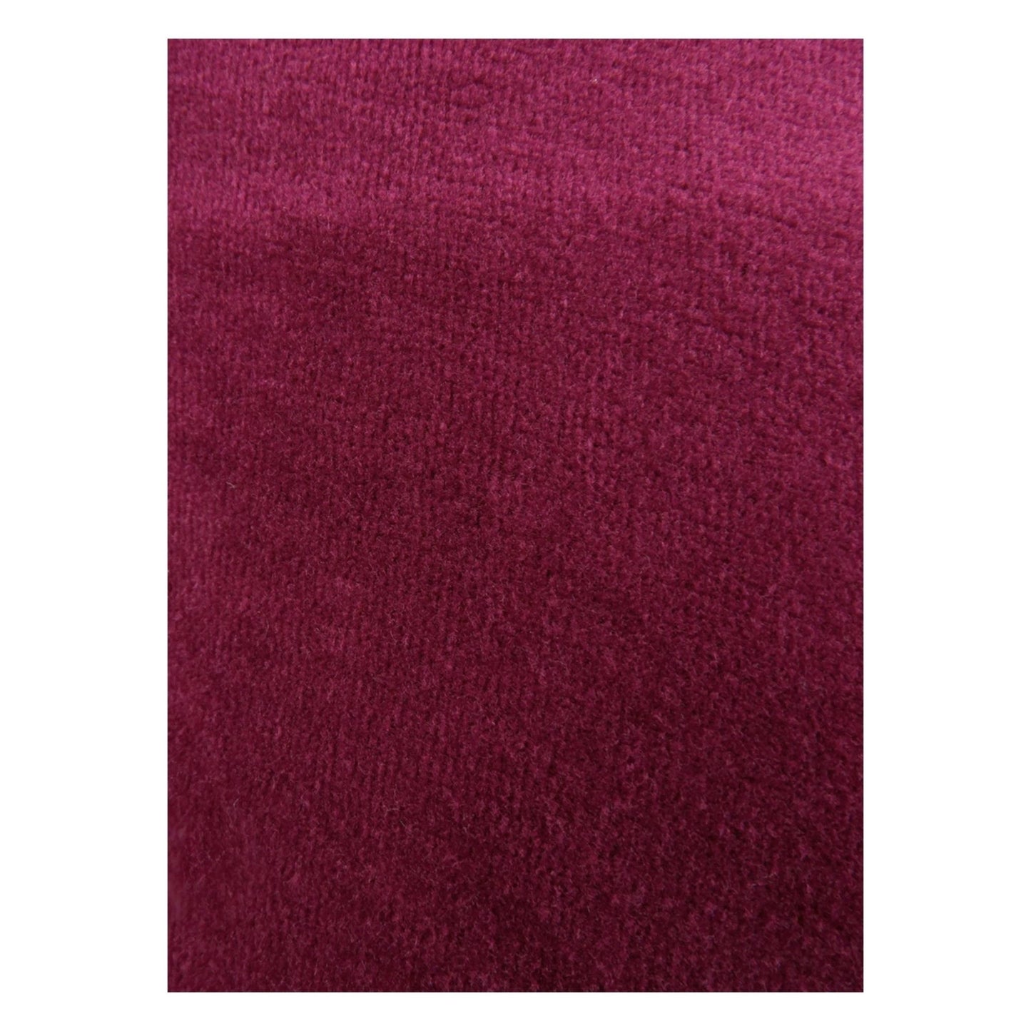 Karen Scott Women's Sport Velour Pants Purple Size XX-Large