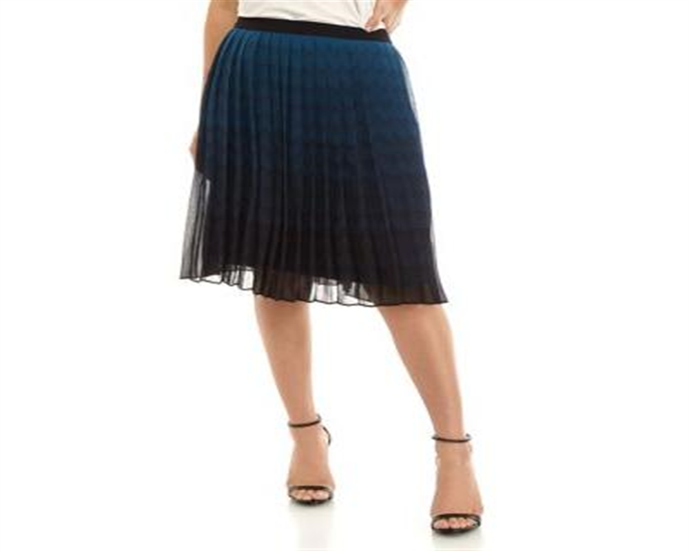 Anne Klein Women's Sheer Knee Length Knife Pleated Skirt Blue Size 6