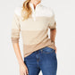 Karen Scott Women's Cotton Striped Sweater Brown Size XX-Large