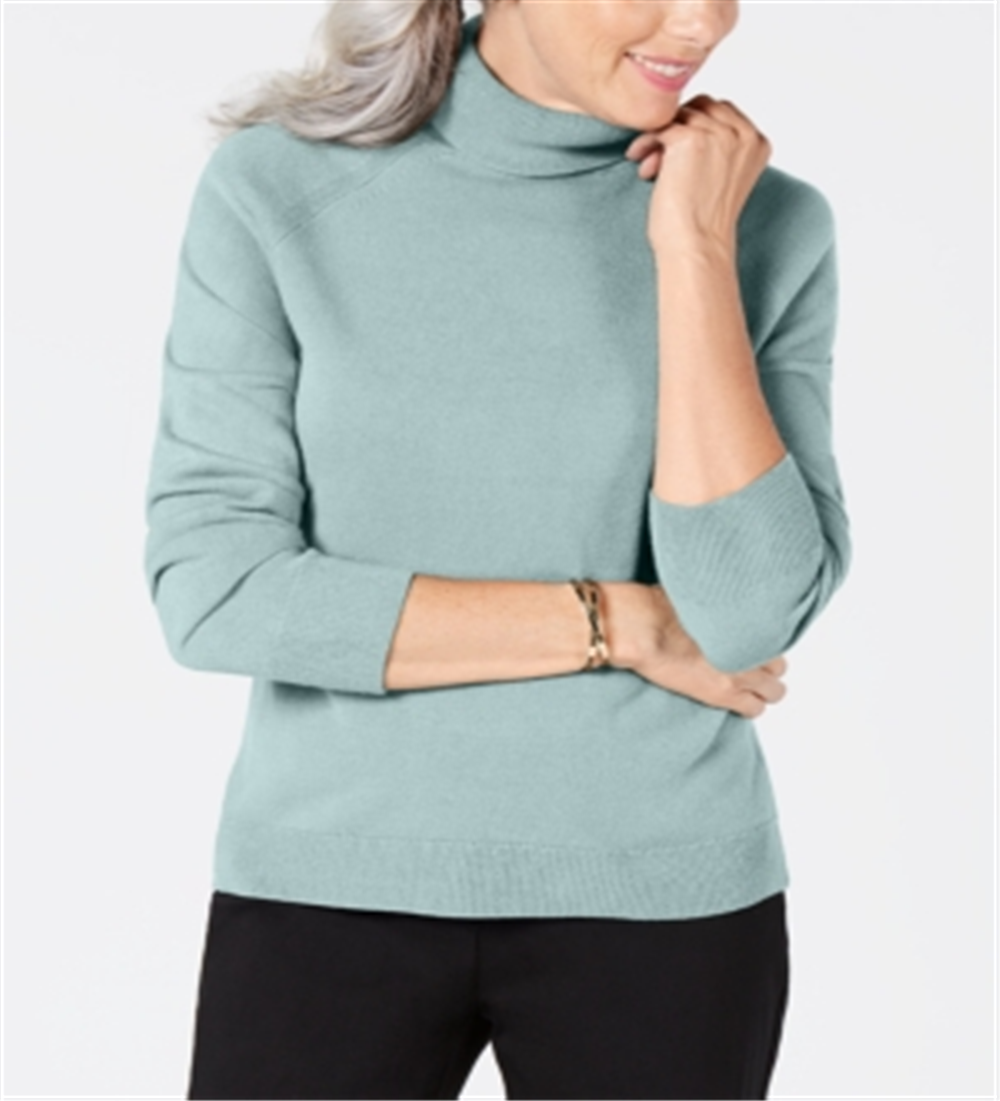 Karen Scott Women's Turtleneck Sweater Blue Size Large