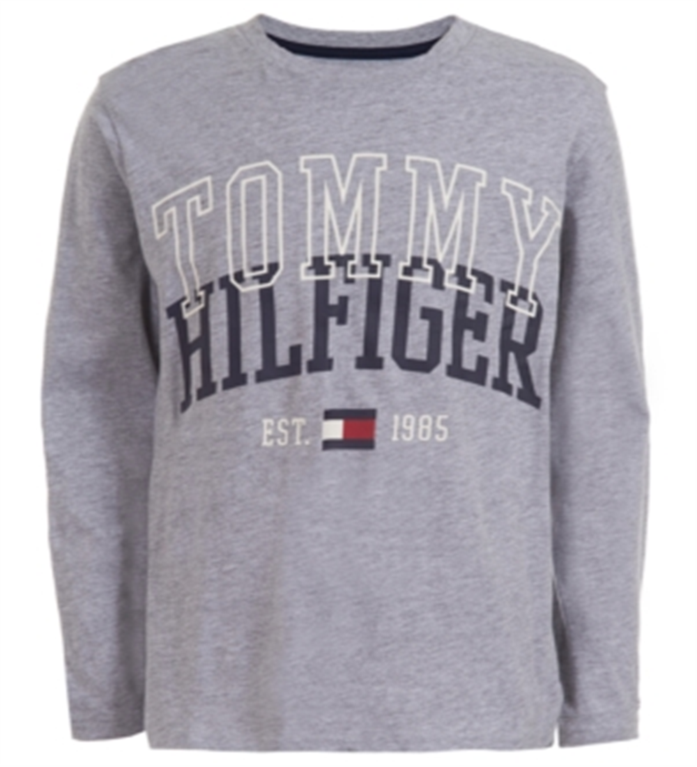 Tommy Hilfiger Little Boy's Tony Logo T-Shirt Grey Size 5