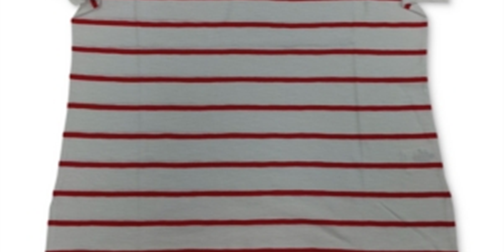 Charter Club Women's Plus Striped Eyelet Yoke Knit Top Red Size 1X