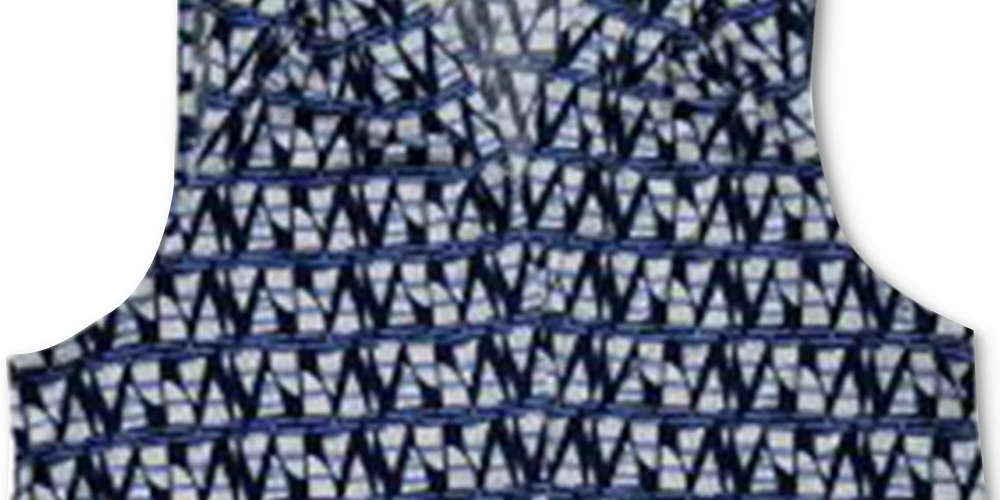 Charter Club Women's Printed V Neck Top Blue Size Small