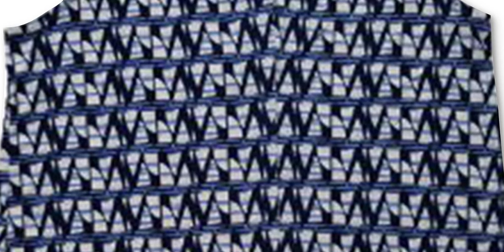 Charter Club Women's Printed V Neck Top Blue Size Small