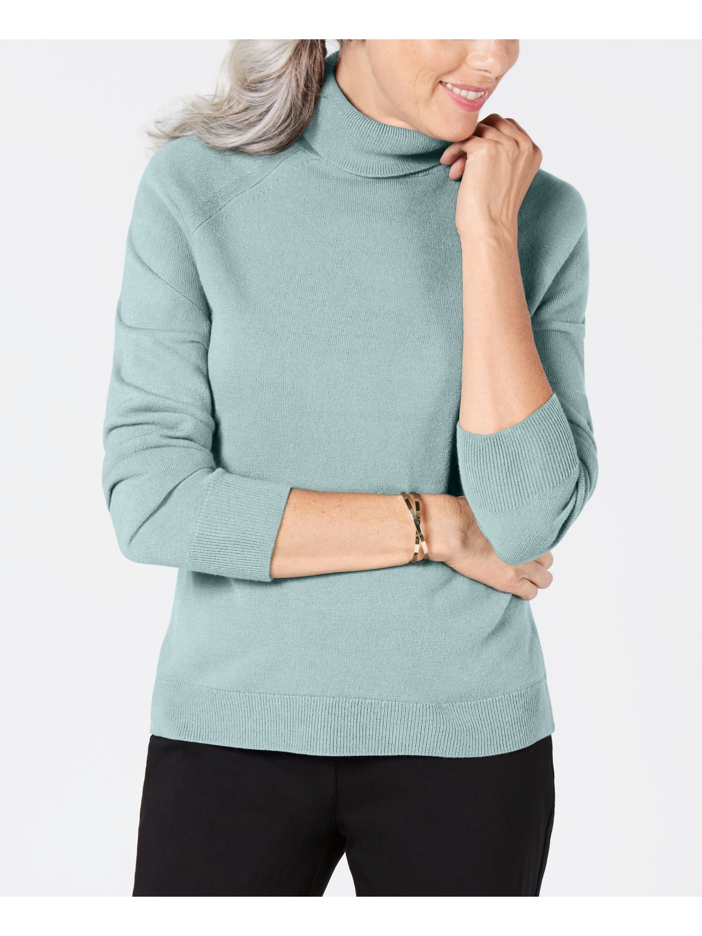 Karen Scott Women's Long Sleeve Turtle Neck Sweater Blue Size X-Large