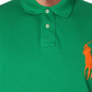 Ralph Lauren Men's Patchwork Collar Polo Green Size XX-Large