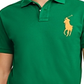 Ralph Lauren Men's Patchwork Collar Polo Green Size XX-Large