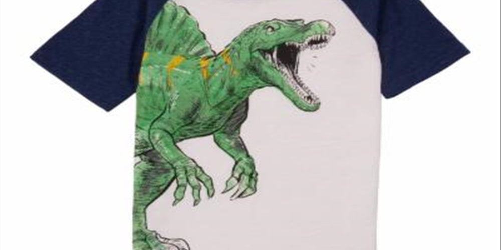 Carter's Boy's Dinosaur T Rex Slubbed Raglan Tee White Size 5