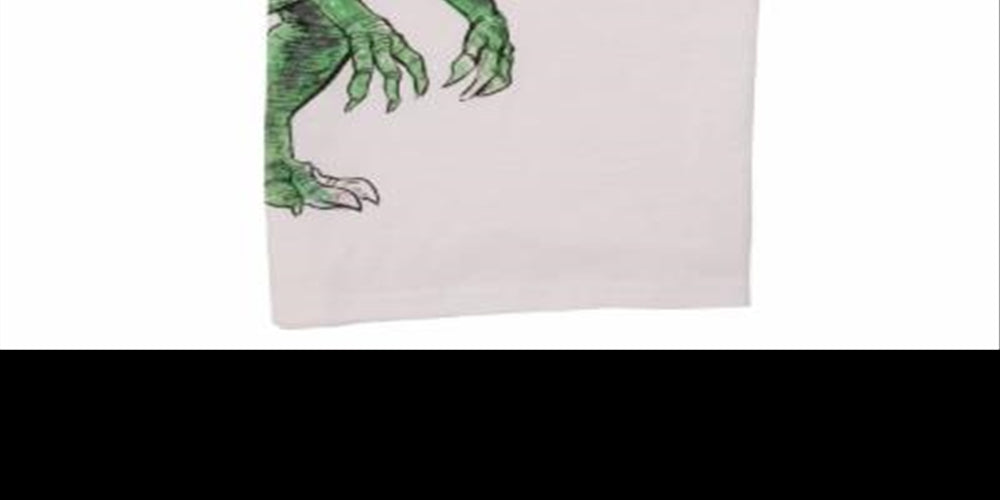 Carter's Boy's Dinosaur T Rex Slubbed Raglan Tee White Size 5
