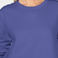 Karen Scott Women's Sport Long Sleeve Crewneck Sweatshirt Purple Size X-Small