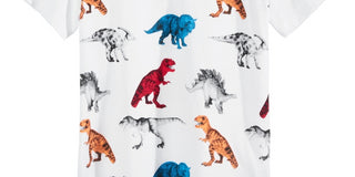 Epic Threads Boys Dino T Shirt White Size 7