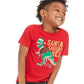 Epic Threads Toddler Boy's Santa Saurus Print T-Shirt  Red Size 2