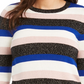 Charter Club Women's Striped Crewneck Sweater Blue Size Medium