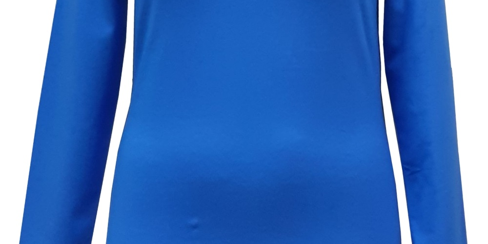 Style & Co Women's Long Sleeve Top Blue Size Large