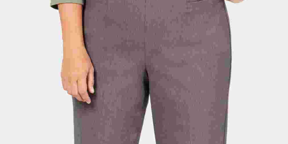Alfred Dunner Plus Size Classic Allure Tummy Control Pull-On Pants Gray Size 16W