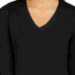 Charter Club Women's Solid Long Sleeve V Neck Sweater Black Size Petite Small