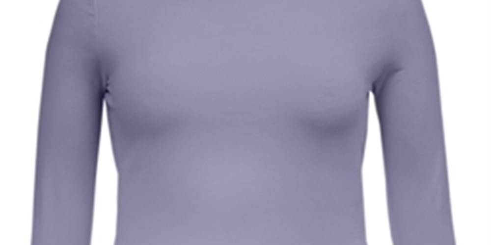 Style & Co Women's Long Sleeve Top Purple Size Large