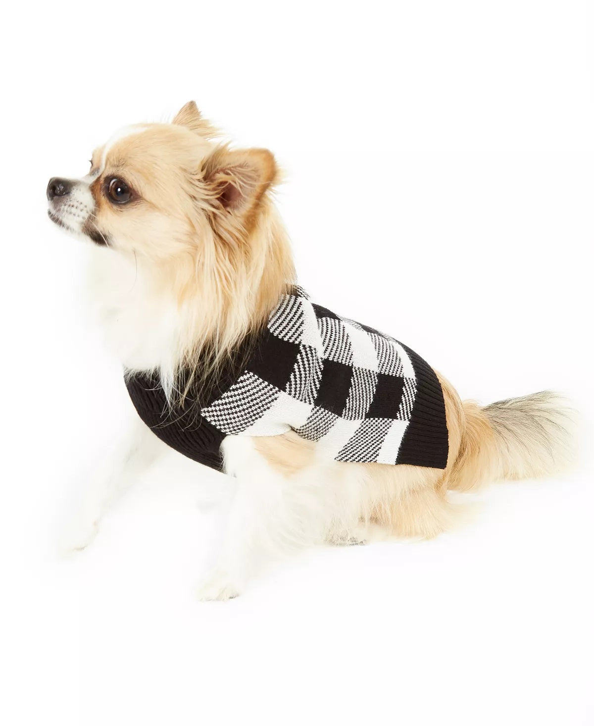 Charter Club Women's Check-Print Dog Family Family Sweater White Size X-Large