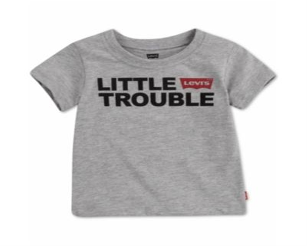 Levi's Little Boy's Trouble Graphic T-Shirt Infant Crewneck Grey Size 12MOS