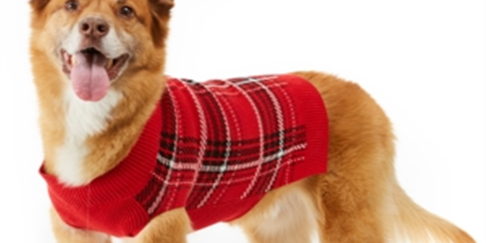Charter Club Women's Plaid Dog Family Sweater Red Size Medium
