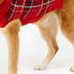 Charter Club Women's Plaid Dog Family Sweater Red Size Medium