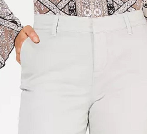 Style & Co Women's Chino Pants Silver Size 4