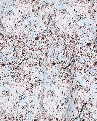 Alfani Women's Printed Poncho Blouse Navy Size Petite Medium