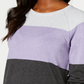 Karen Scott Women's Color blocked Pullover Sweater  Purple Size XX-Large