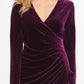 DKNY Women's Velvet Side Ruche Sheath Dress Purple Size 14
