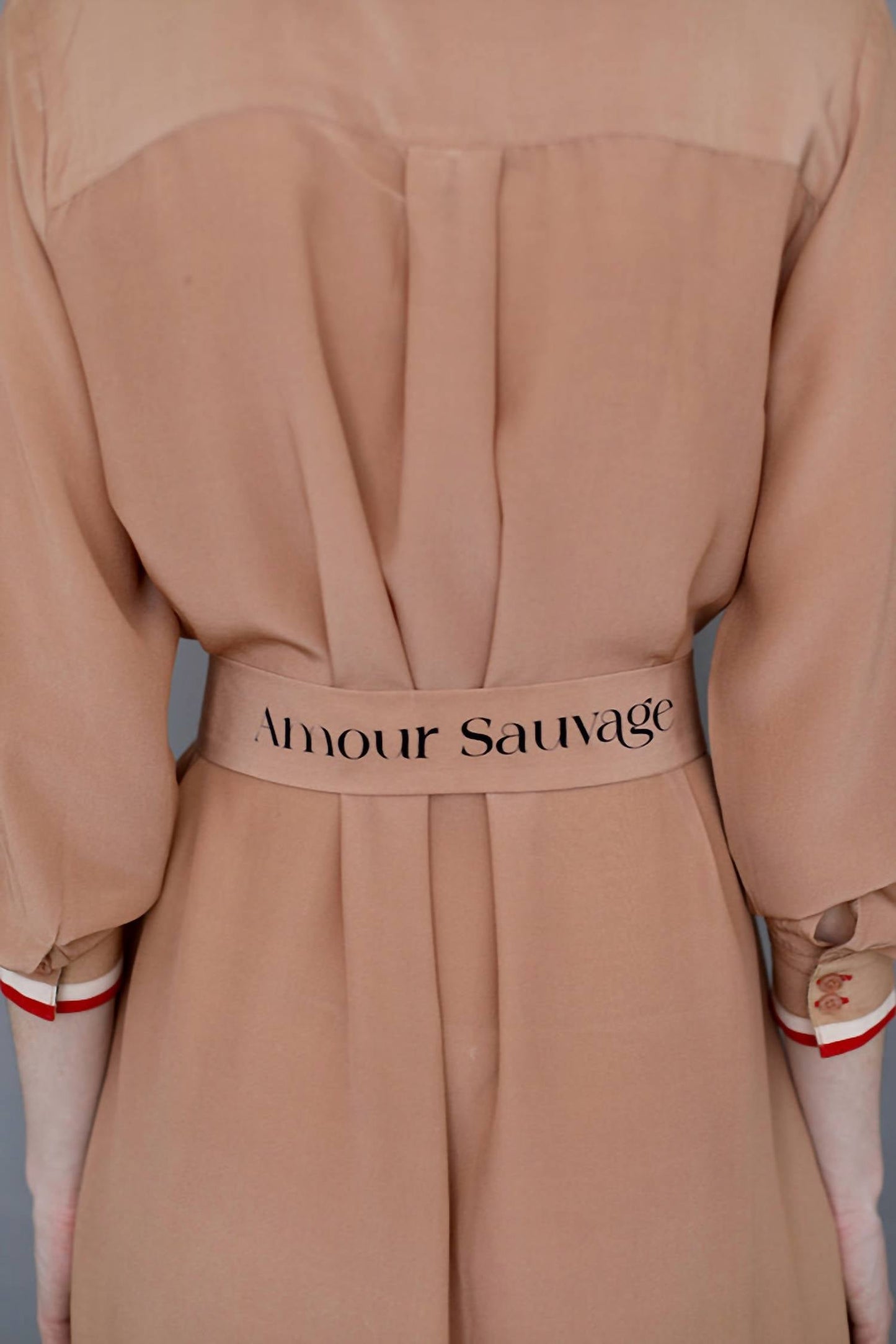 Las Sureñas - Toile De Jouy Chemise Dress