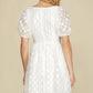 She + Sky - Jacquard Dress