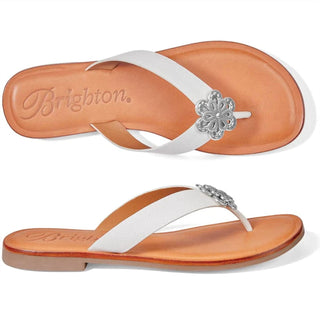 Brighton - Aster Flower Embellished Leather Flat Thong Slip On Sandal