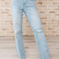 Judy Blue - High Rise 90's Straight Jean