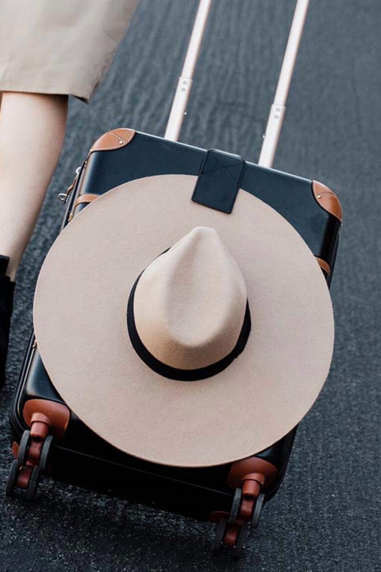 Toptote By Lindsay Albanese - The Luggage
