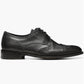 Donald Pliner - Men's Damien Leather Wingtip Derby