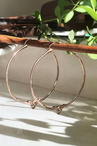 Astor & Orion - Women's Amorette Hoop Earrings