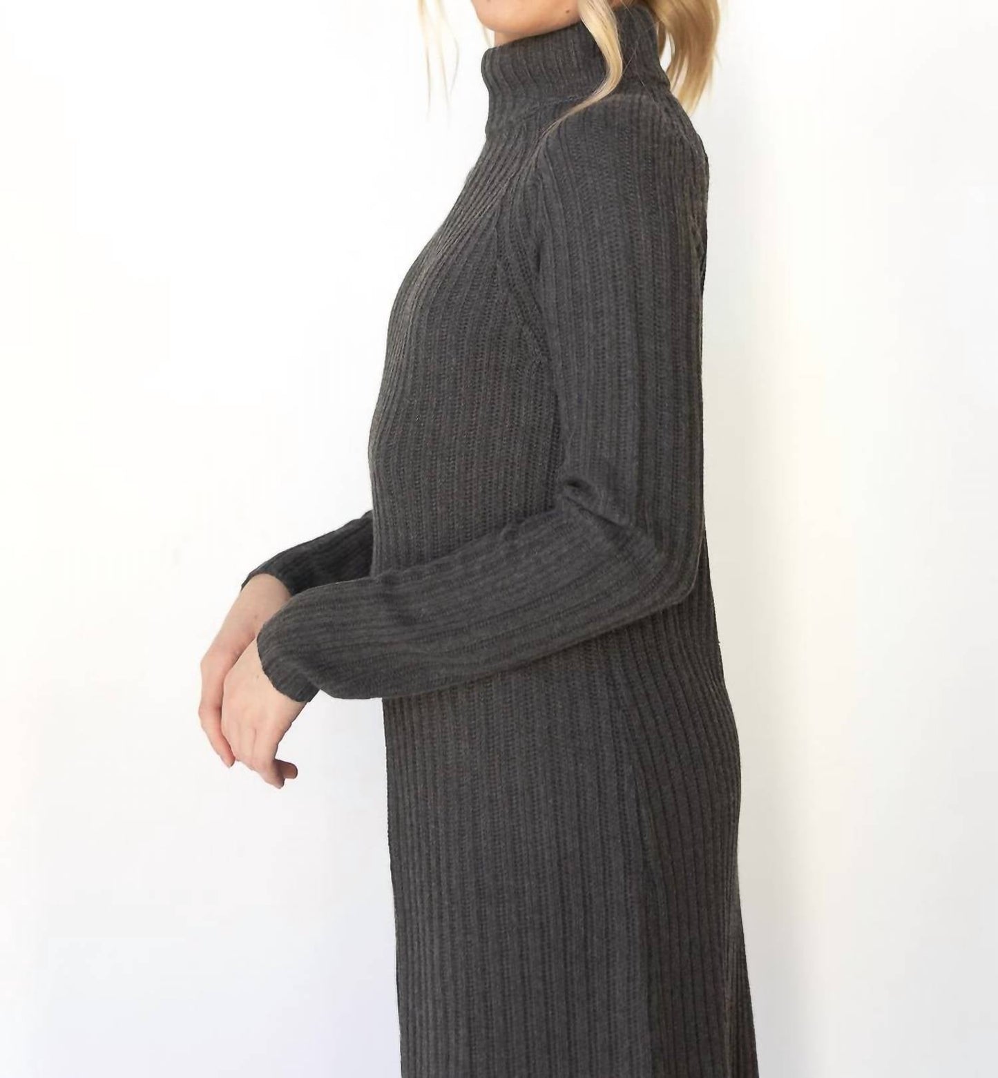 Astr - Estilo Long Sleeve Turtle Neck Sweater