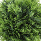 5" Tall Artificial Plant Grass - Set of 3