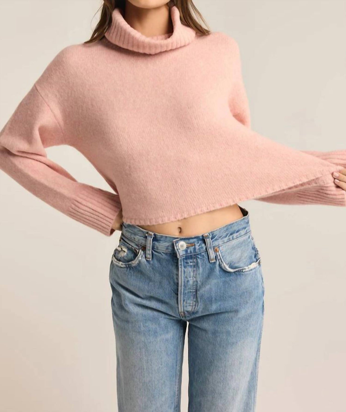 Z Supply - Ursa Turtleneck Sweater