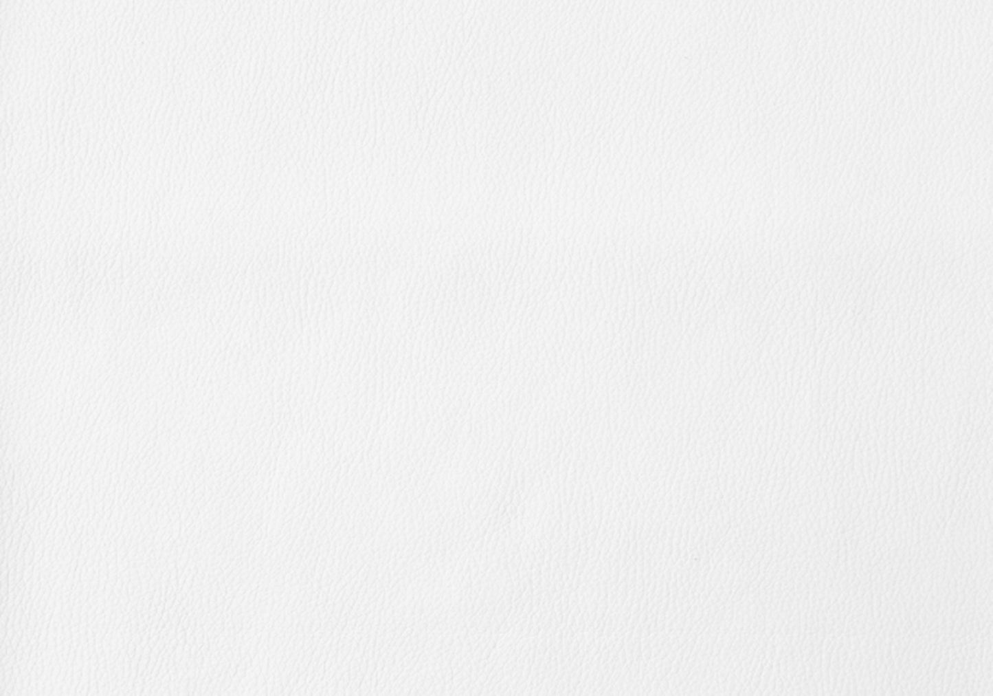 Dining Side Chair Upholstered for Dining Room, Modern (Set of 2)