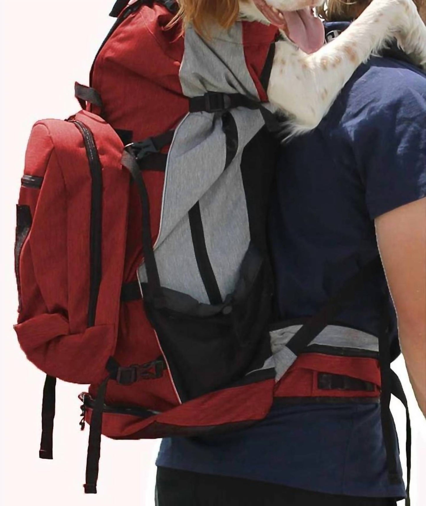 K9 Sport Sack - Rover Dog Backpack