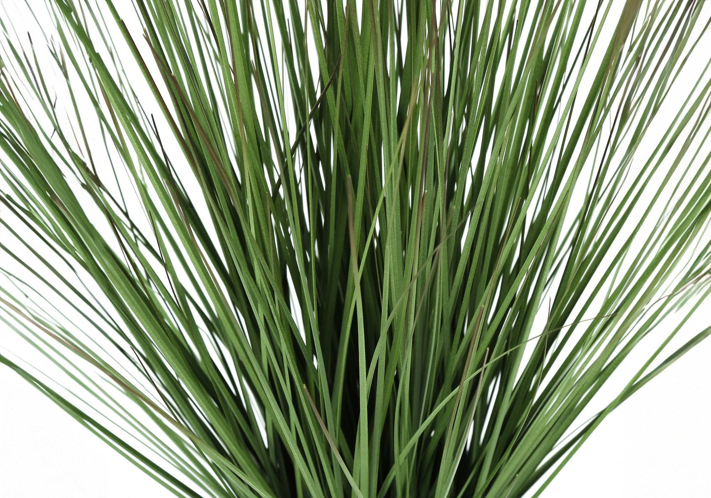 21" Tall Artificial Grass Plant in Potted Cement
