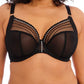 Elomi Women s Plus-Size Matilda Underwire Plunge Bra  Black  40E