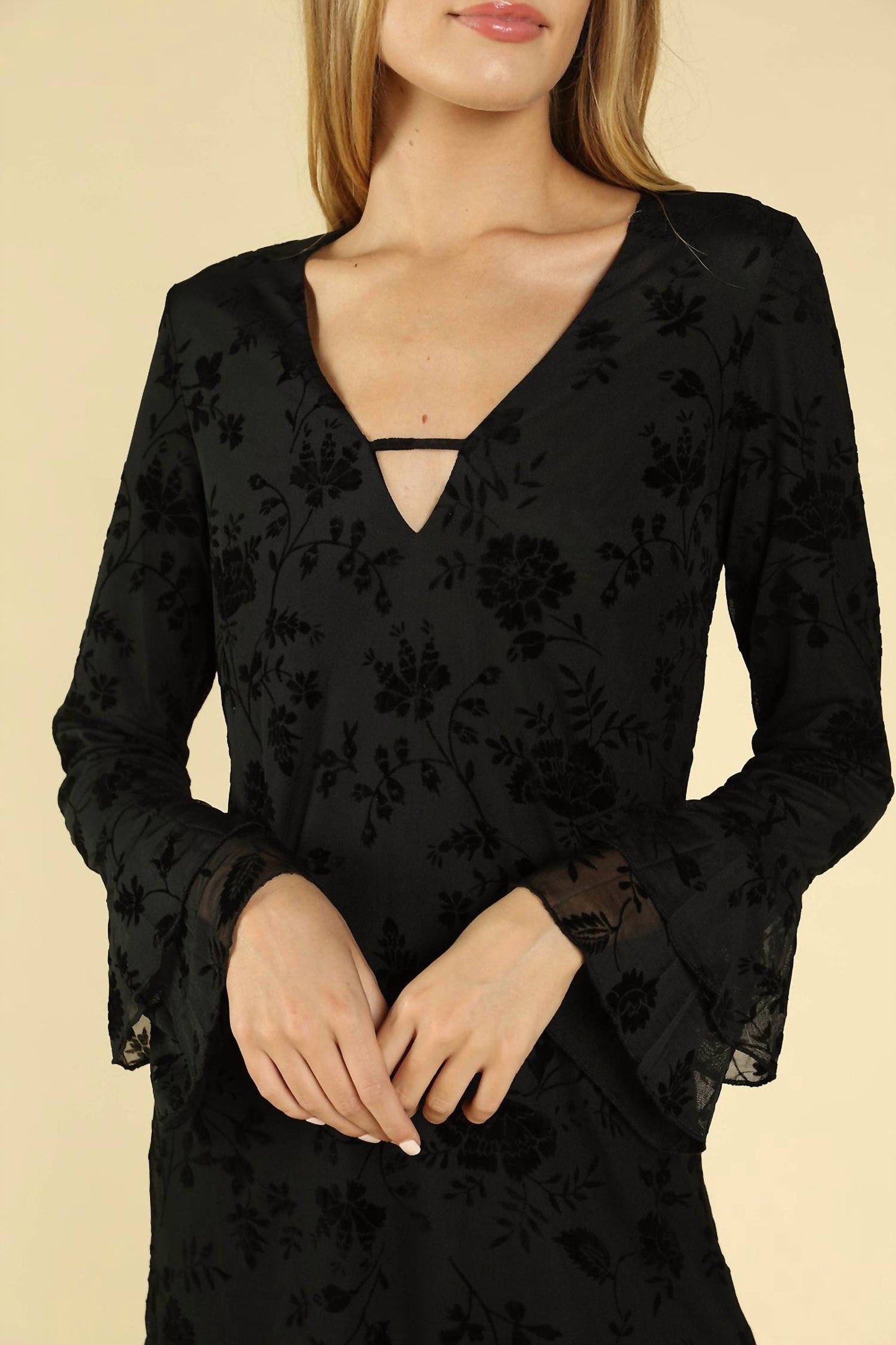 Honey Punch - Floral Velvet Burnout Dress