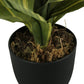 17" Tall Artificial Dracaena Plant, Indoor Faux Greenery